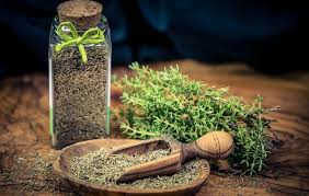 تصویر 4 از قیمت آویشن سبز با کیفیت ارزان + خرید عمده